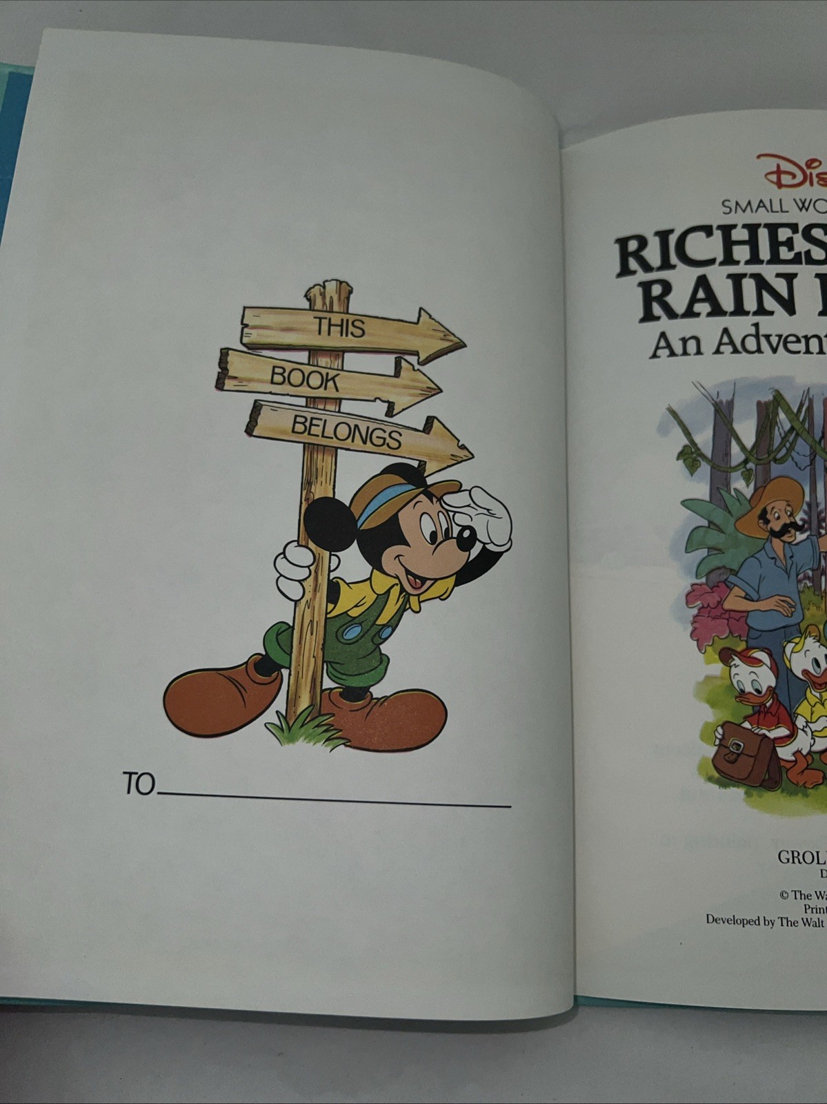 Disney Small World Library Riches In The Rain Forest An Adventure In Brazil Hard