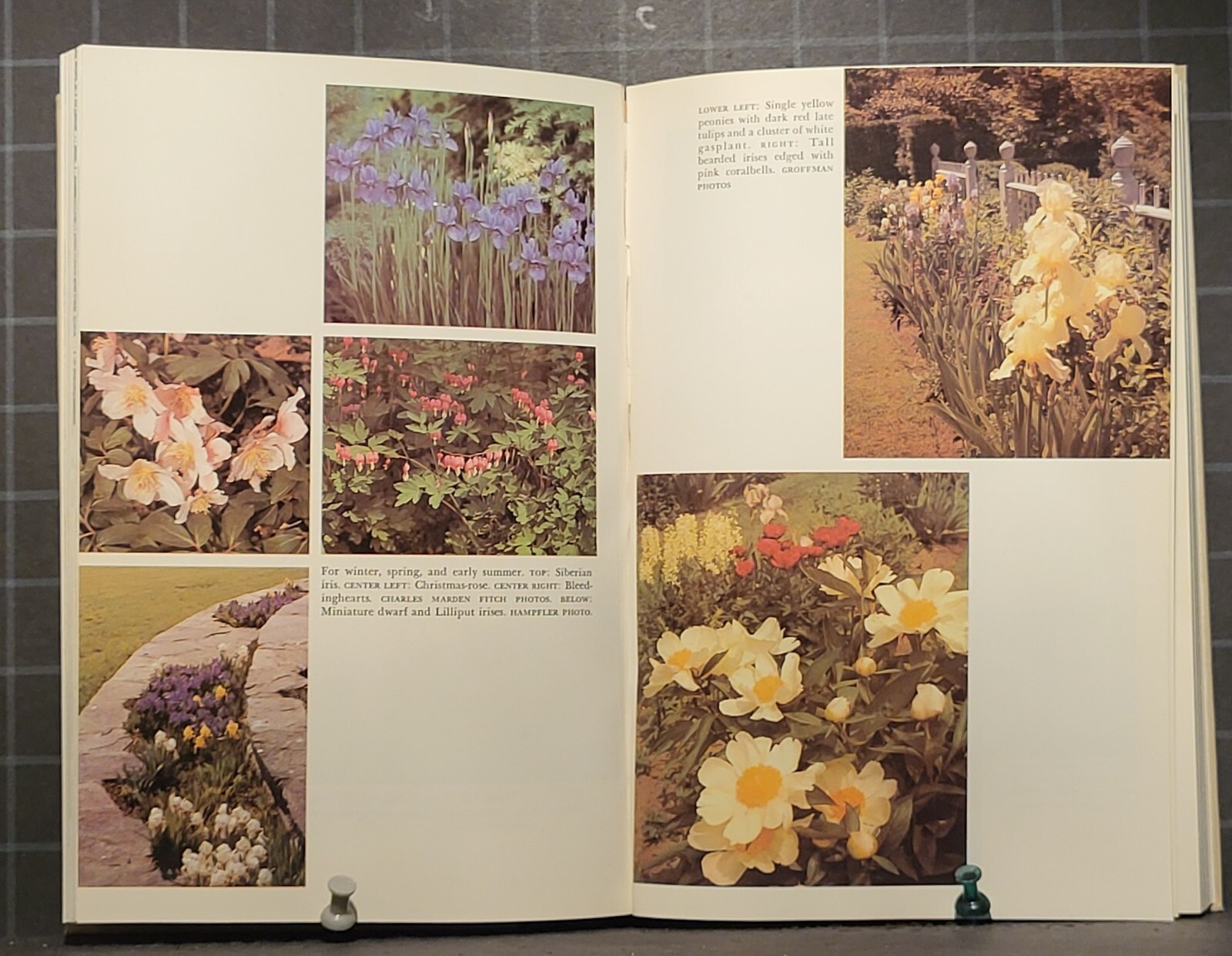 Successful Gardening with Perennials : by Helen Van Pelt Wilson 1976 HC 2642
