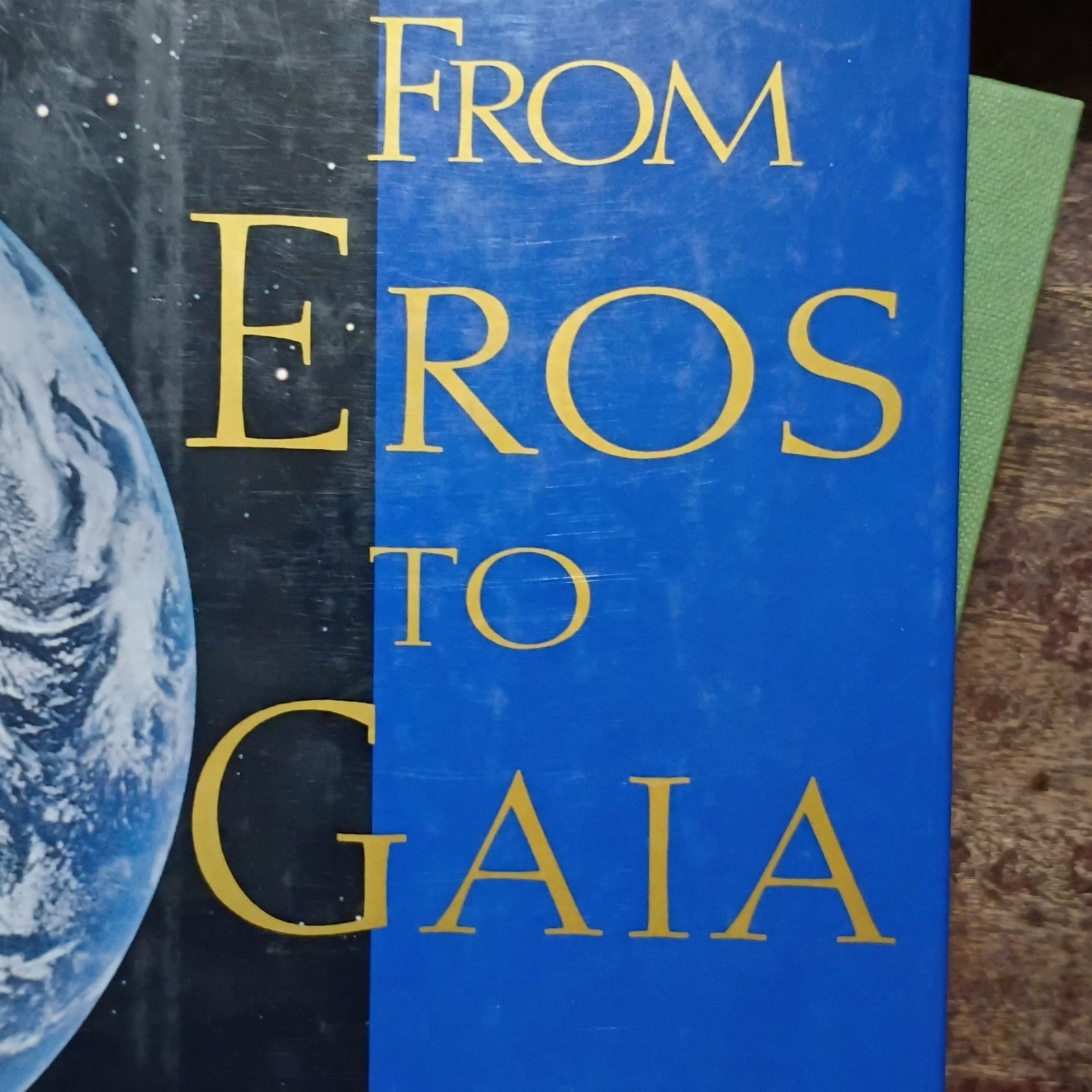 From Eros to Gaia by Freeman Dyson (1992, Pantheon Books, Hardcover)