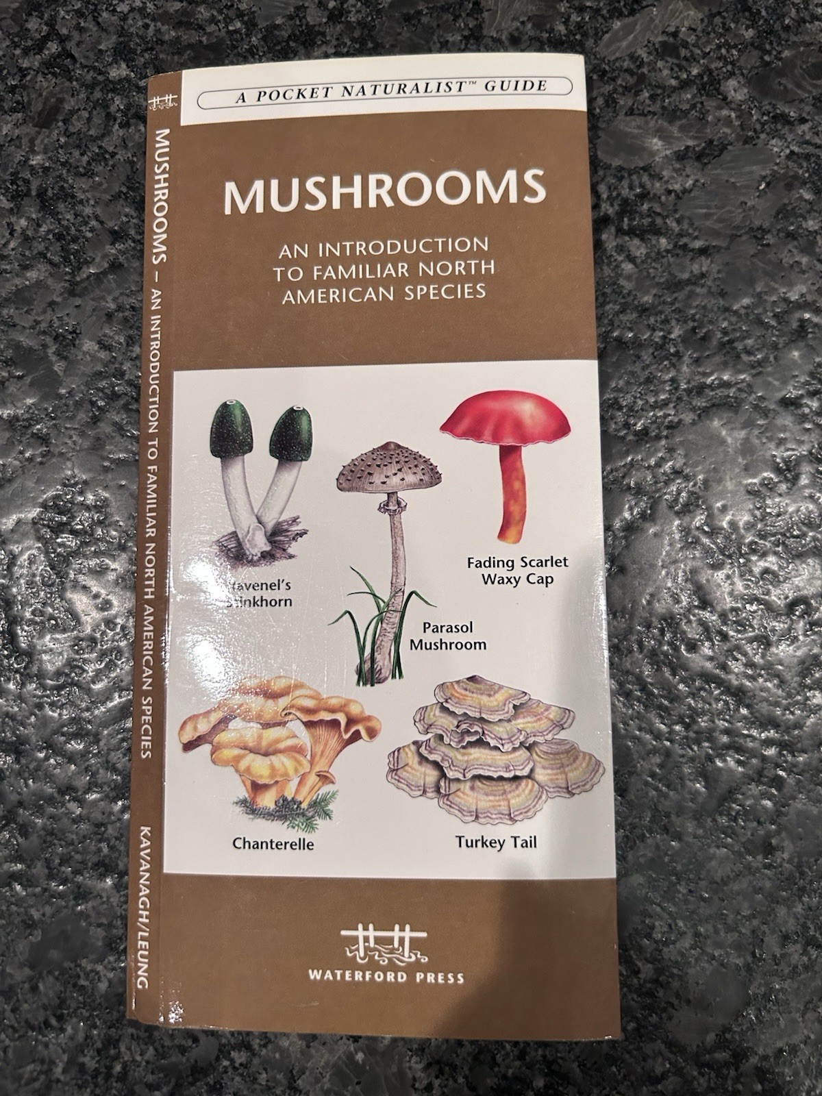 Pocket Naturalist Guide To North American Mushrooms Laminated Pamphlet