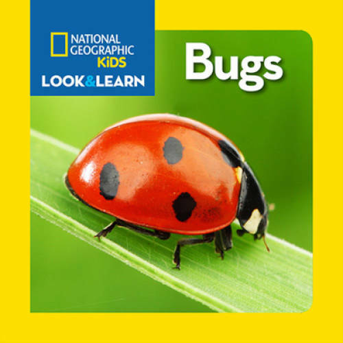 National Geographic Kids Look and Learn: Bugs (Look & Learn) – Board book – GOOD