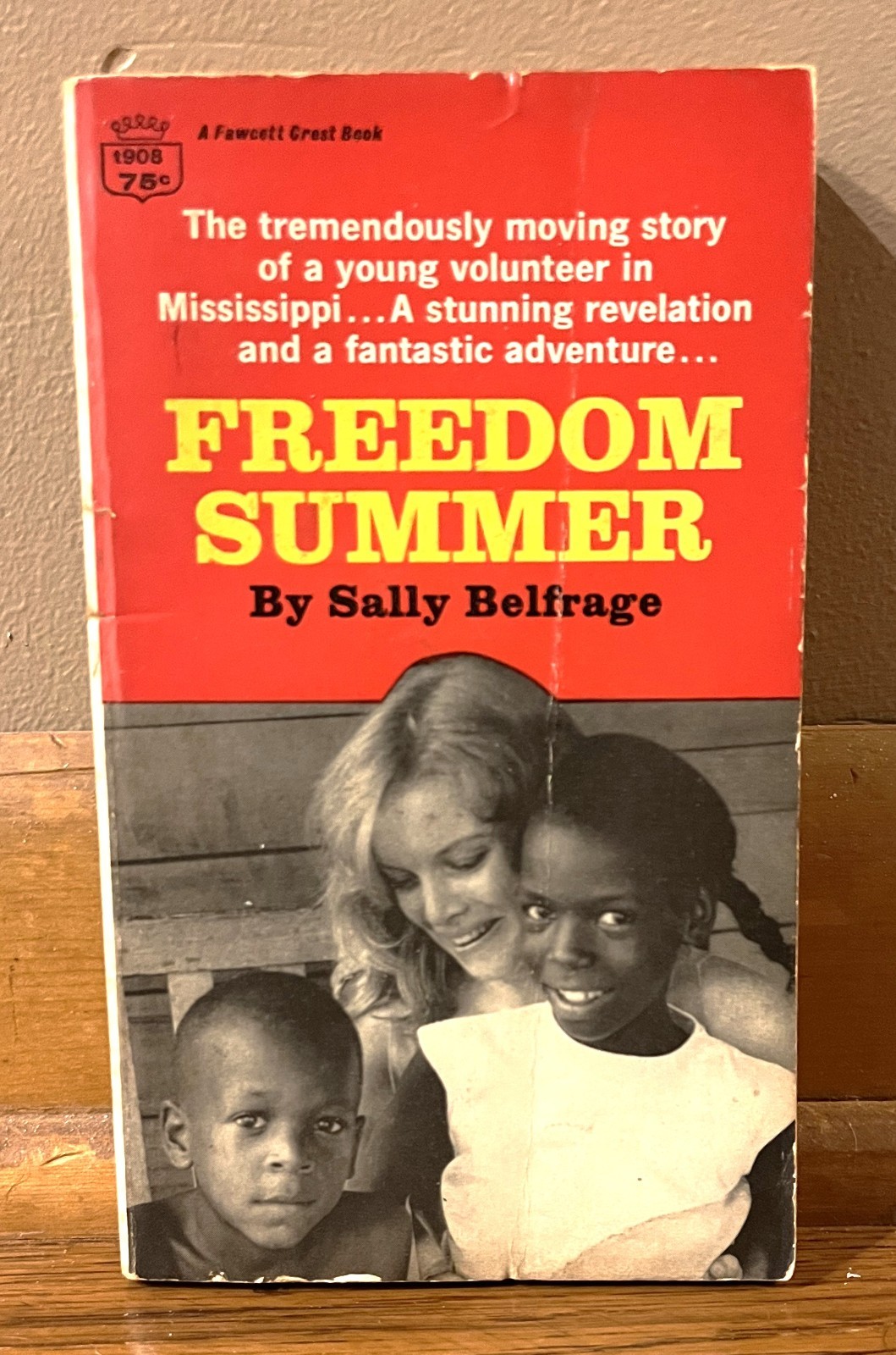 FREEDOM SUMMER-1966 Civil Rights Memoir-SALLY BELFRAGE-Excellent 1966 1st Print!