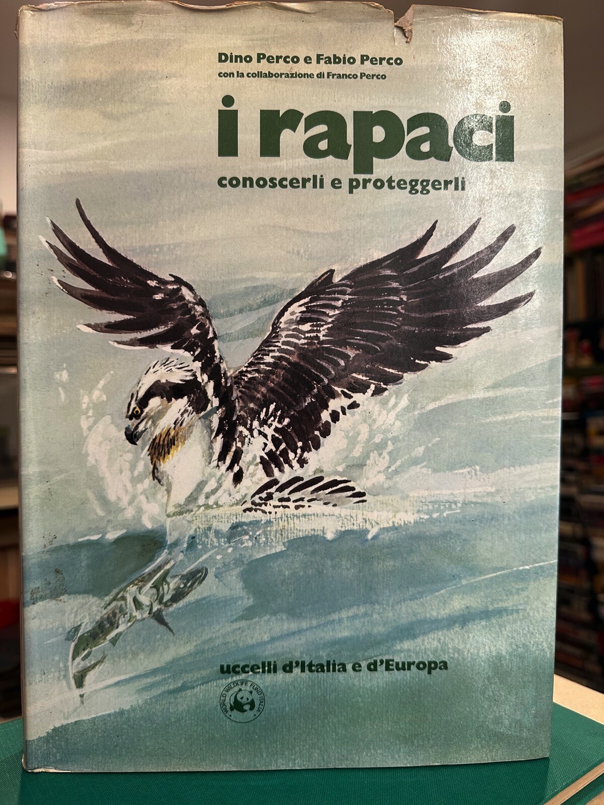 Ornithologie Die Greifvögel Erkennen Schützen – Buch Perco
