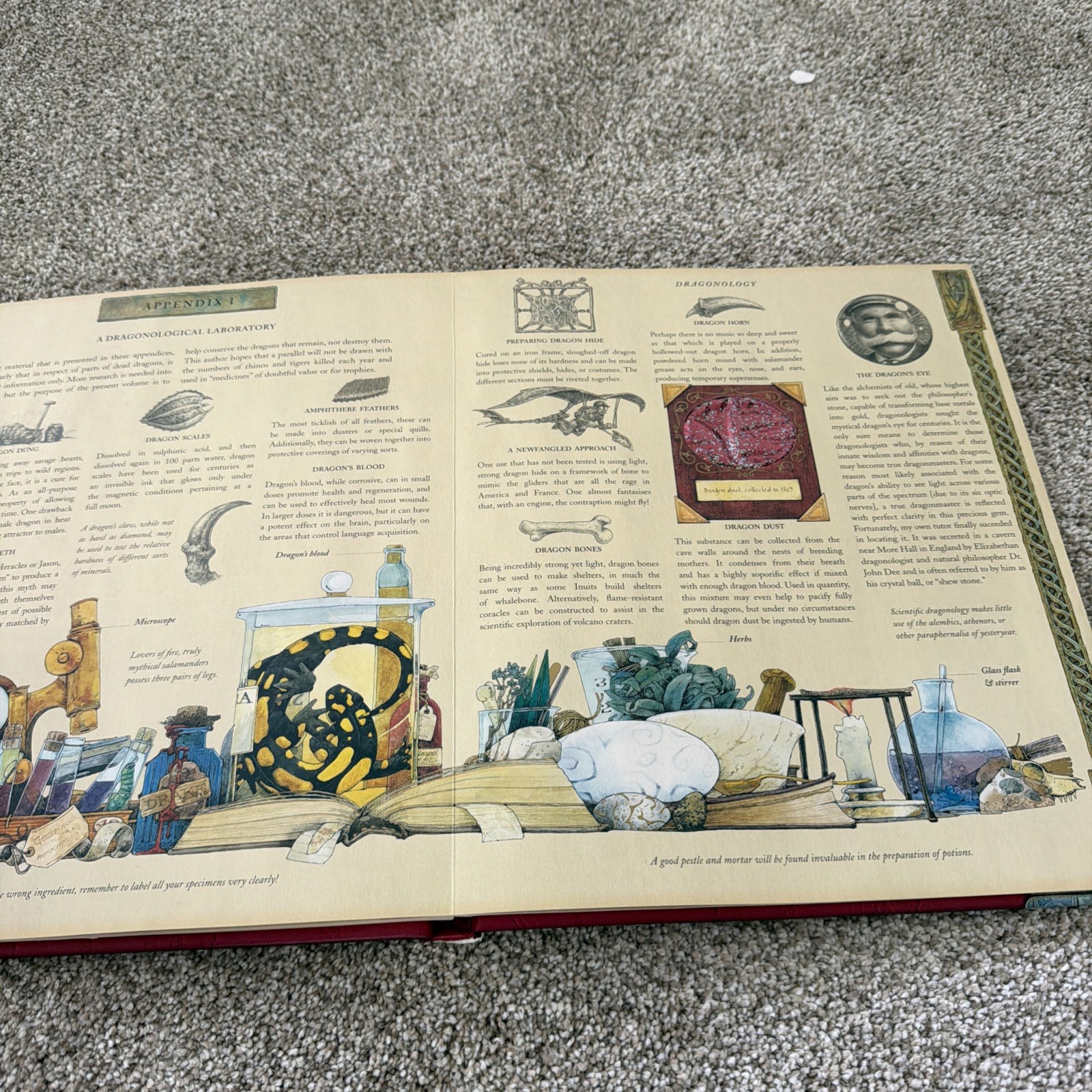 Ologies Ser.: Dragonology : The Complete Book of Dragons by Ernest Drake (2003,