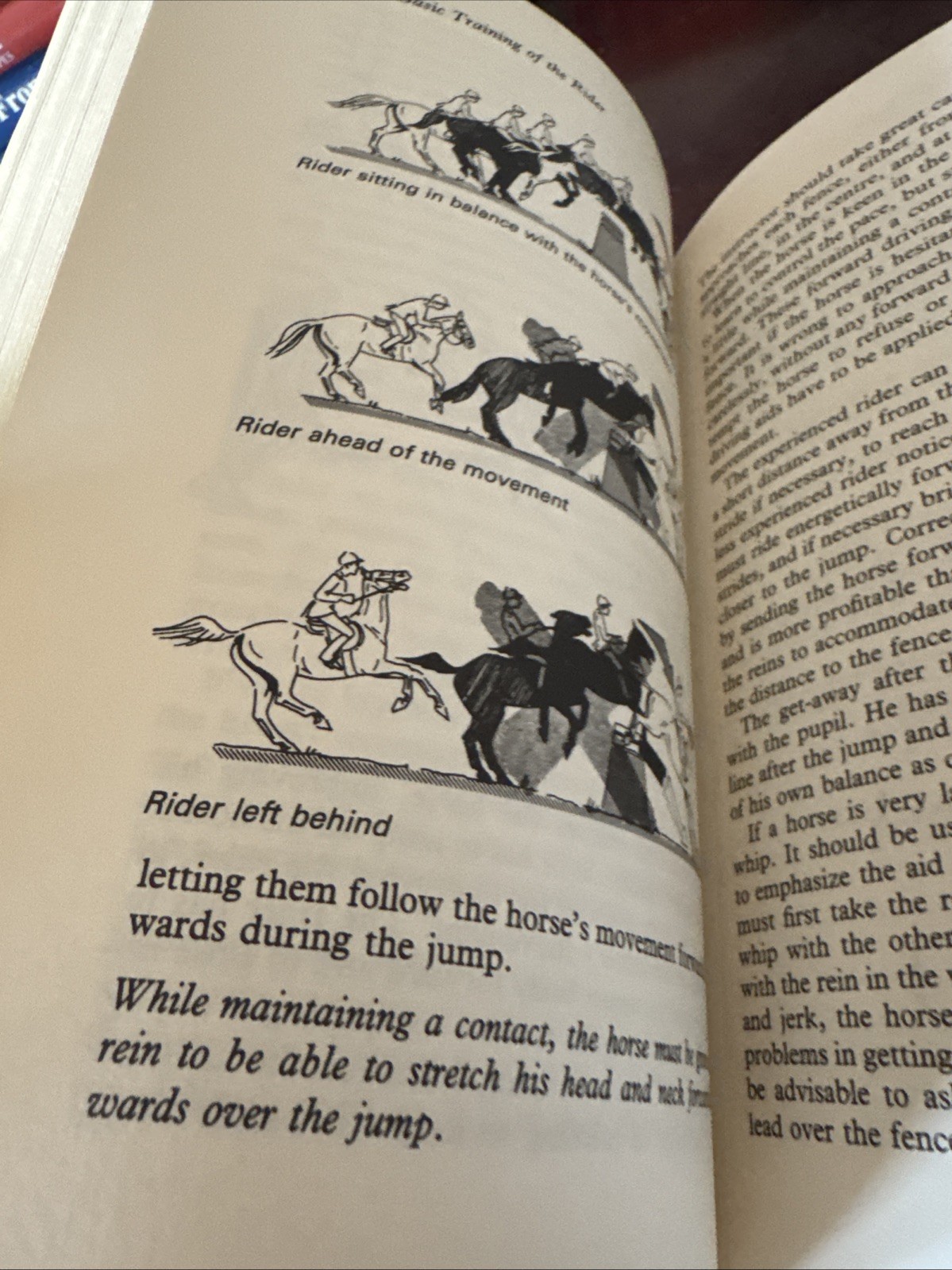 Rare 1992 The Principles Of Riding German National Equestrian Federation Book 1