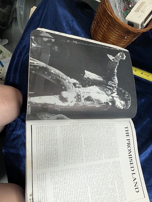 Rock ’n‘ Roll Babylon Gary Herman Paperback Music History Book