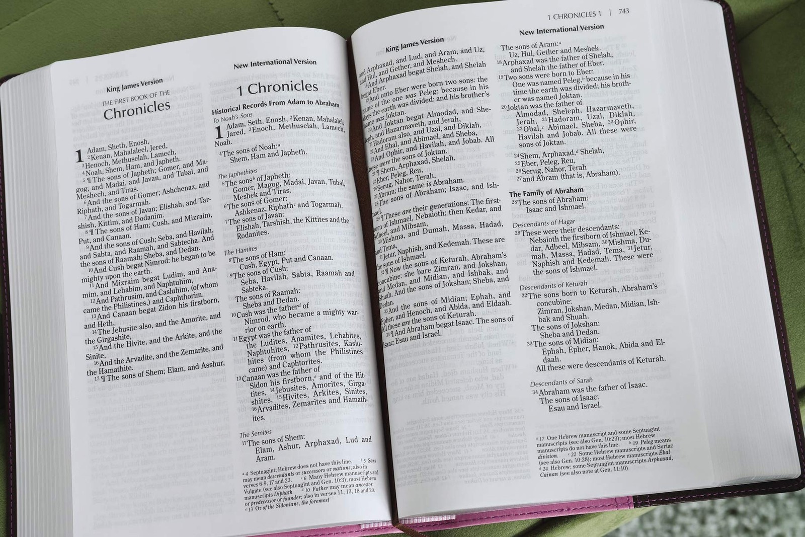NIV, KJV, Parallel Bible, Large Print, Leathersoft, Pink/Brown: The World’s T…
