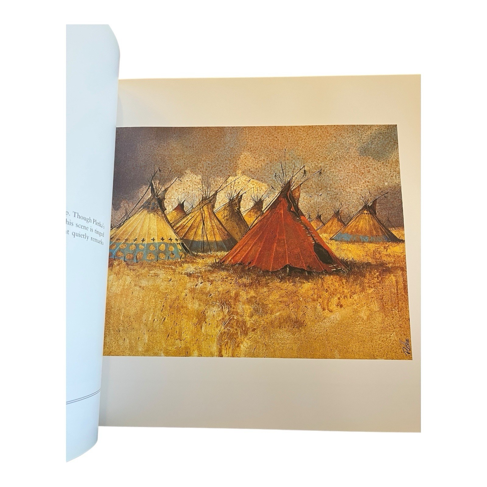 Pletka w/Evan Maurer Hardback Coffee Table Book SIGNED By Paul Pletka 1st Ed Art