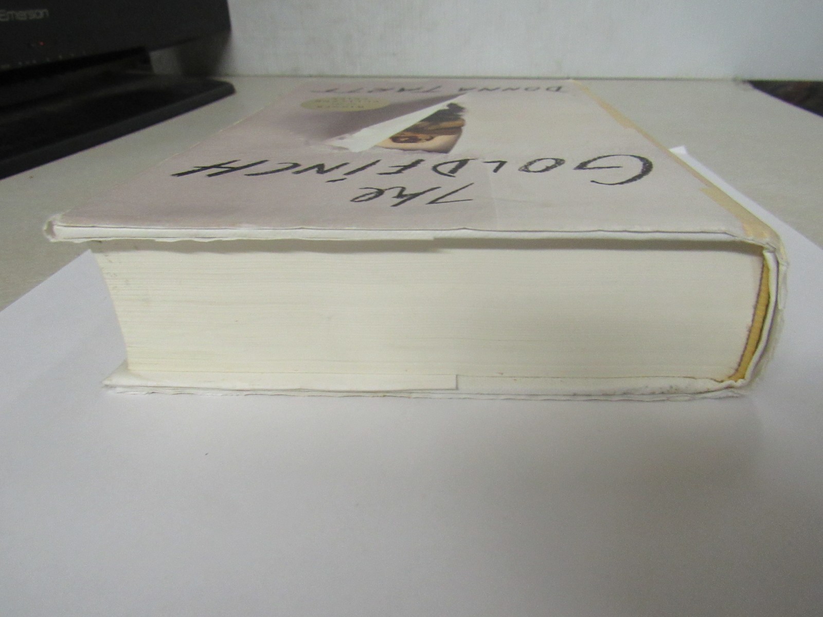 The Goldfinch (Pulitzer) Donna Tartt 2013 HCDJ 1st ed 1st printing