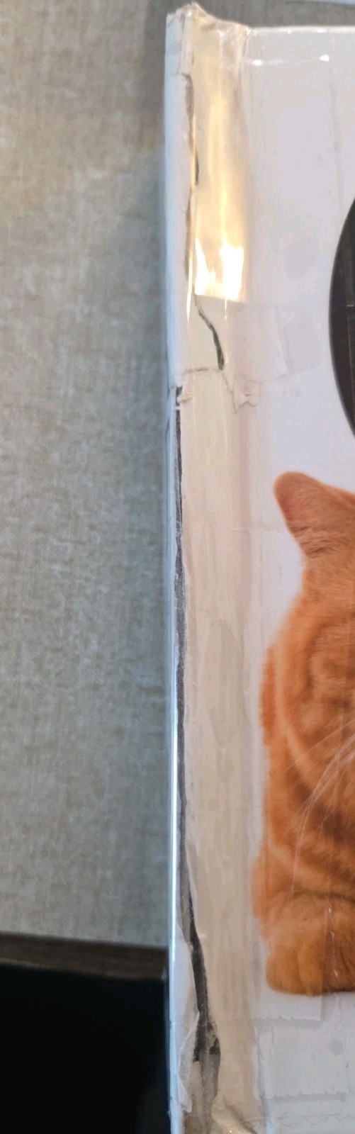 Lot Of 2 Simon and Schuster Cat & Moo Novelty Book by Brian Stanton