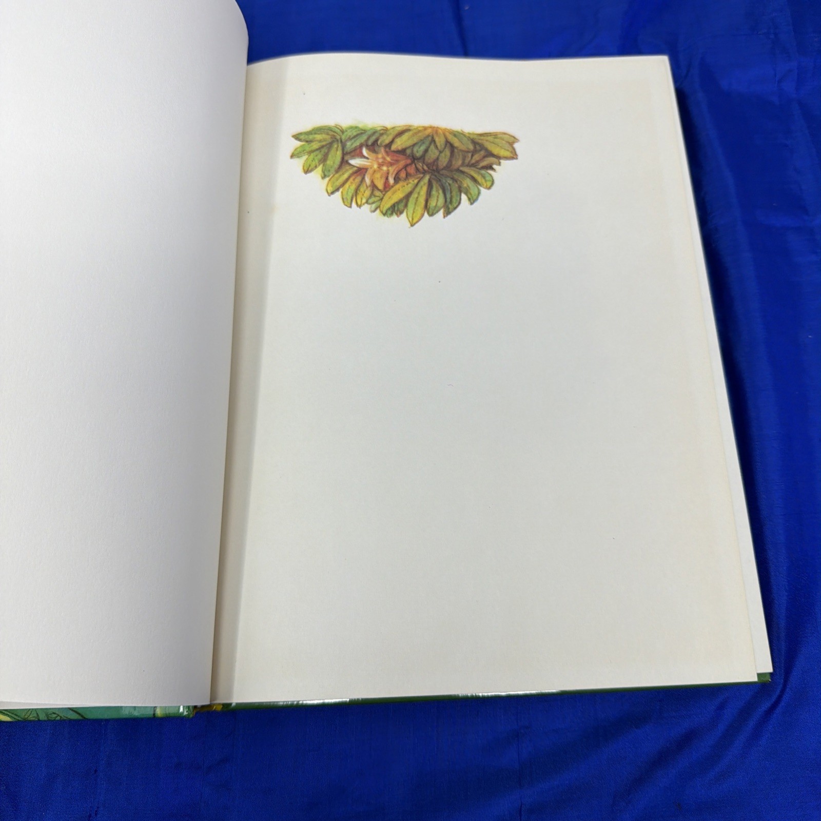 The Mahabharata Retold By Vladimir Miltner Illustrated By Jaromir Skrivanek HB