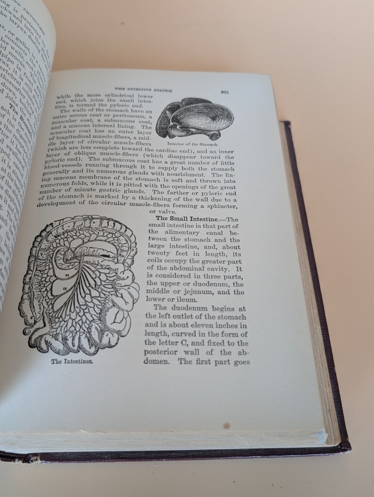 Health Knowledge 2 Vol Set 1927 Medical Anatomy Flap Illustrations Corish