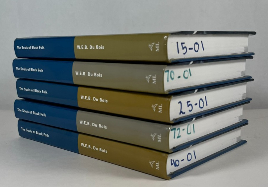 Souls of Black Folks and Related Readings by W.E.B. Du Bois 2004 Lot of 15