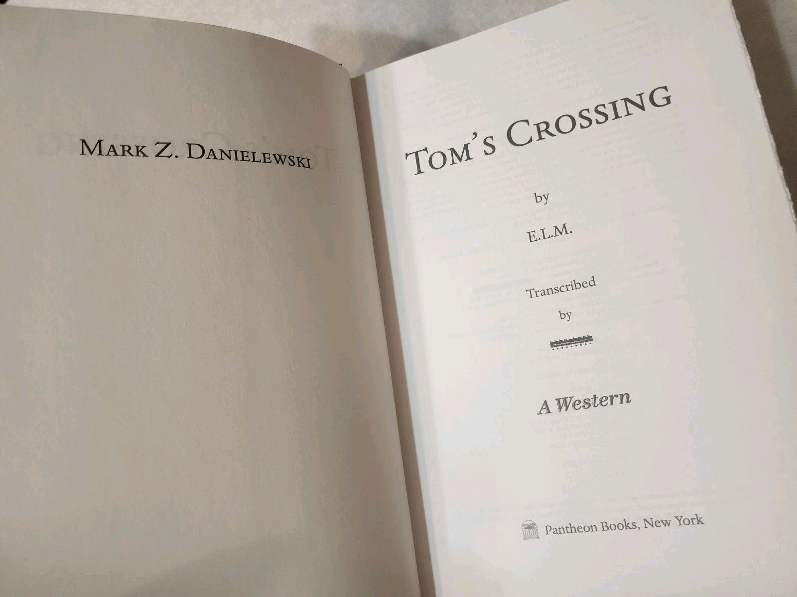 Tom’s Crossing : A Novel by Mark Z. Danielewski (2025, Hardcover) 1st Edition