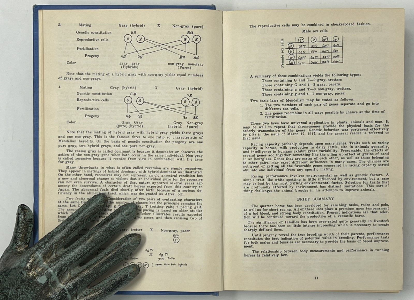EQUESTRIAN / HORSES: N.Q.H.B.A. Permanent Stud Book: No. 1 & 2 – 1947/1948 HCs