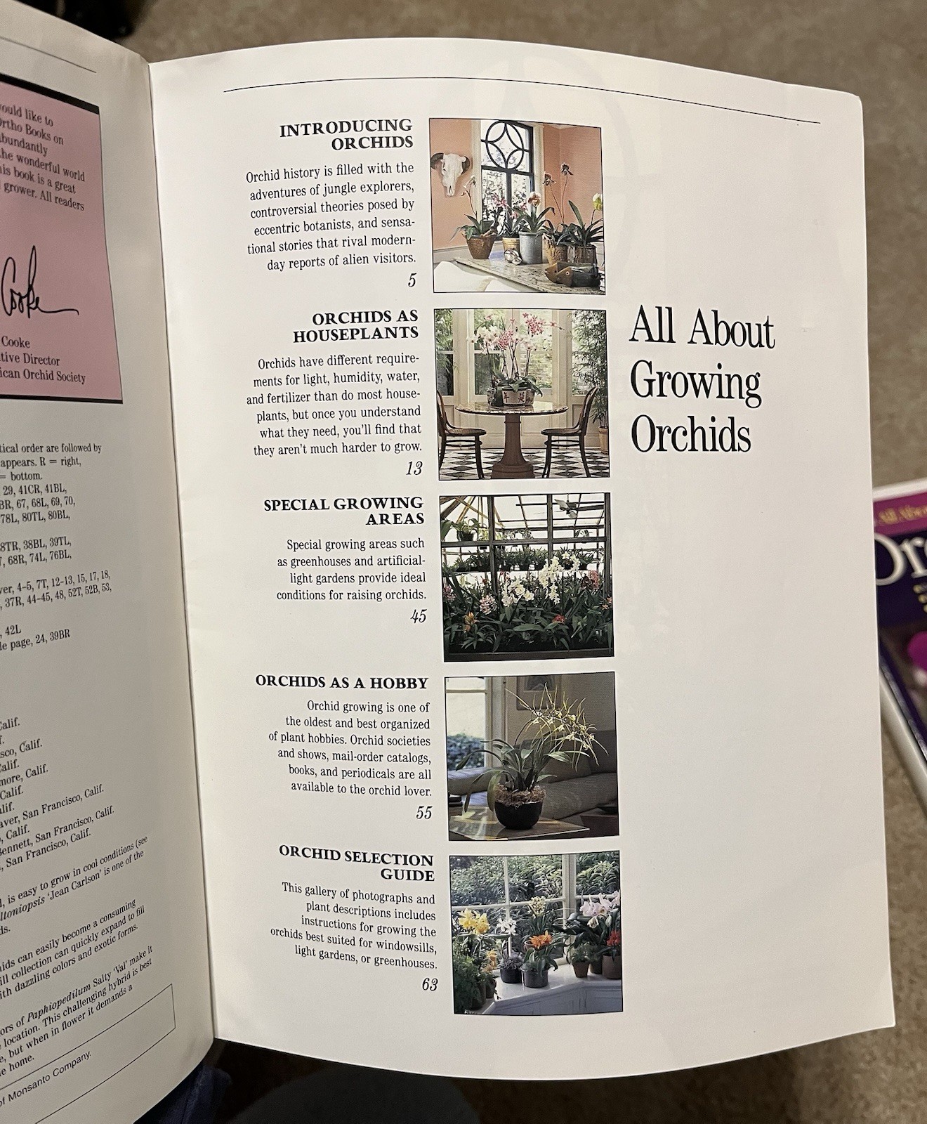 All About Growing ORCHID Flowers Garden Expert Guide Book Illustrated Lot x6 VG