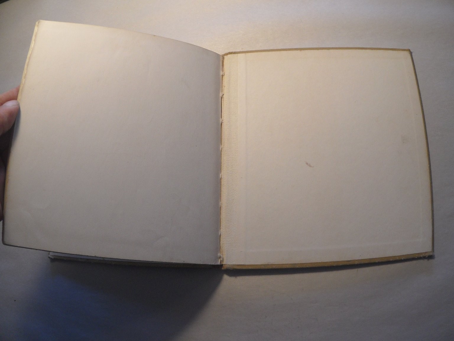 Becky, The Rabbit Gene Darby 1964 Illustrated Childrens Book Benefic Press