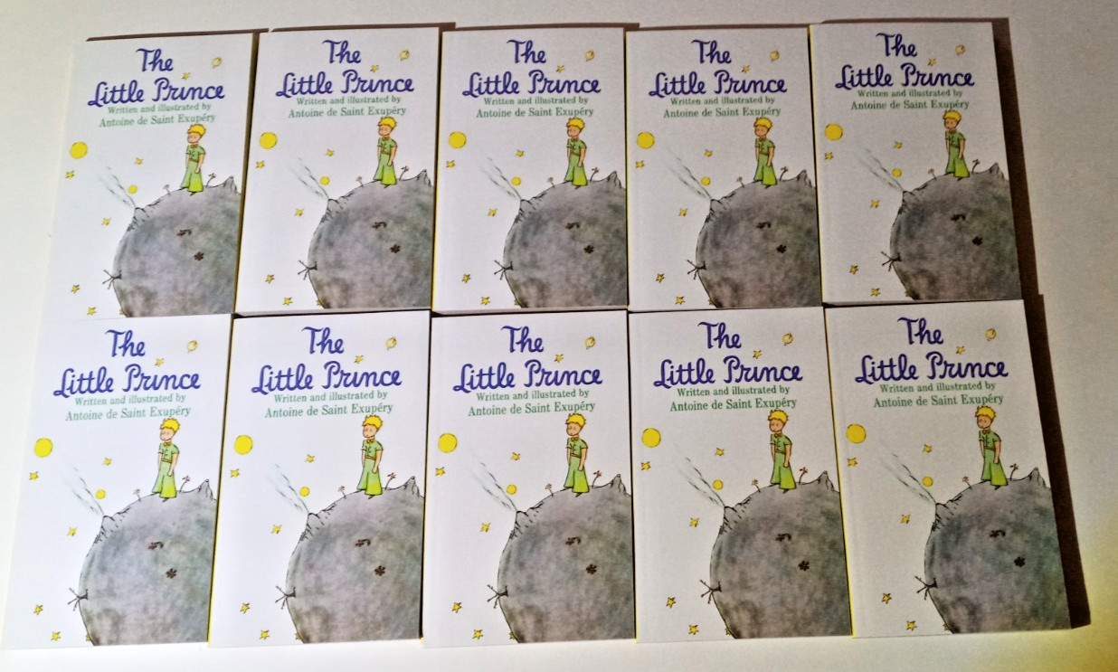 BRAND NEW LOT (10) THE LITTLE PRINCE ANTOINE DE SAINT EXUPERY GUIDED READING
