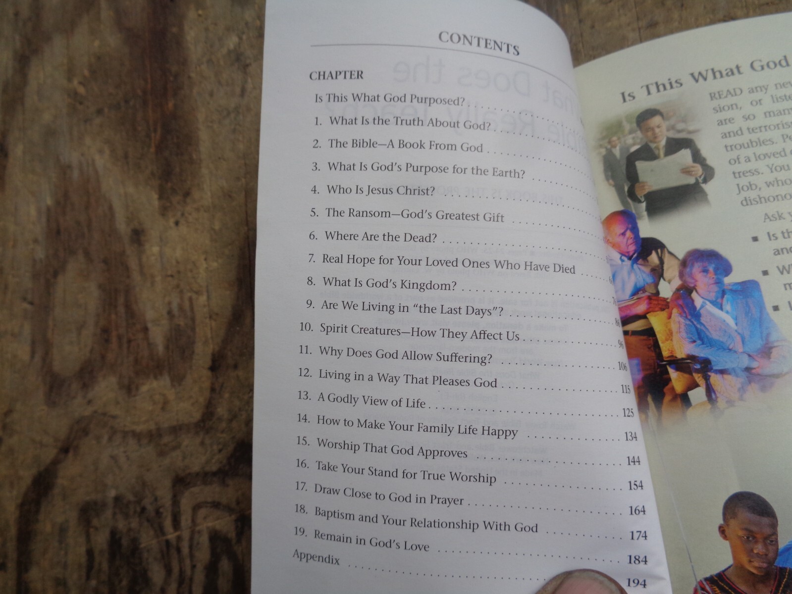 „WHAT DOES THE BIBLE REALLY TEACH?“. 2016. 223 pages. Paperback. Watchtower