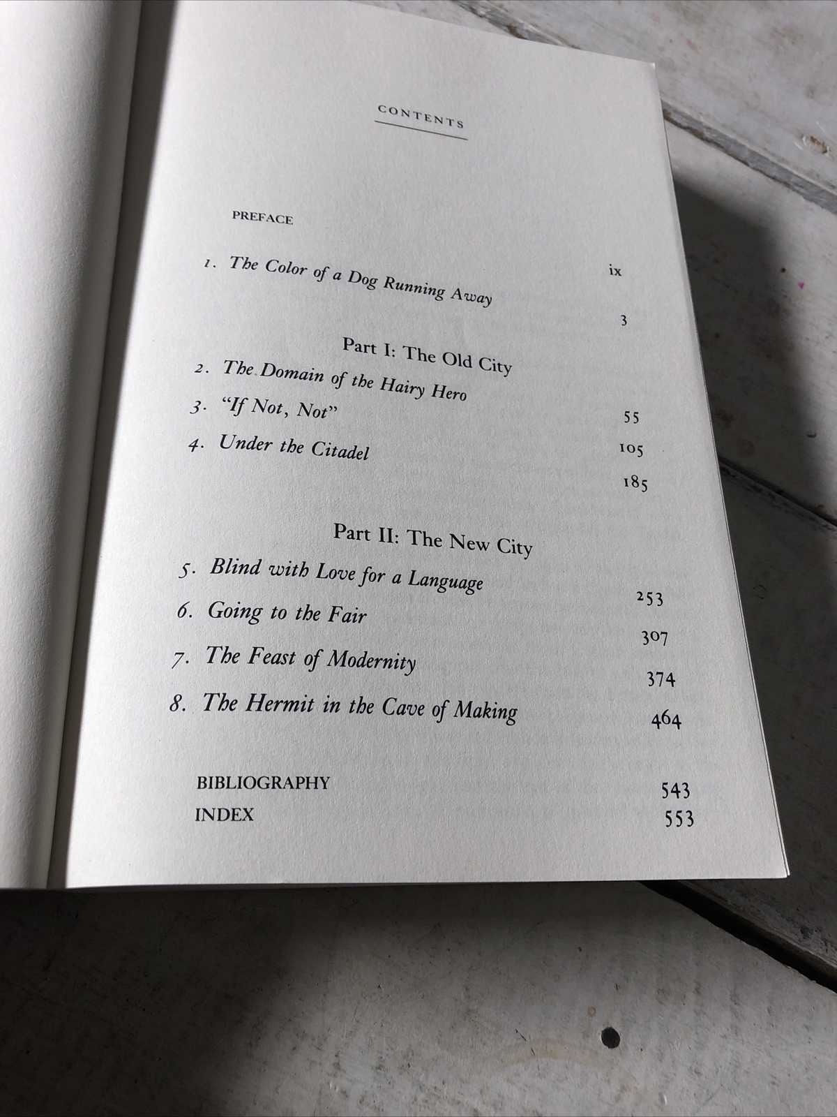 Barcelona Robert Hughes Paperback Art History Travel Culture Guide Book
