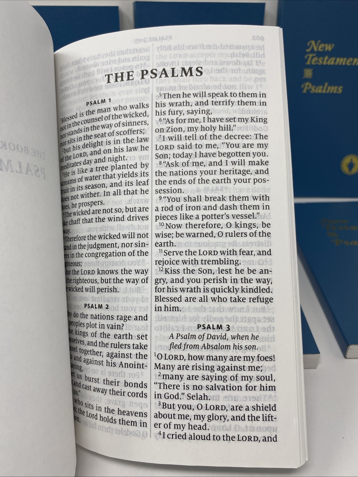 Lot 10 ESV Gideons Personal Size Thinline New Testament Psalms Bible Paperback