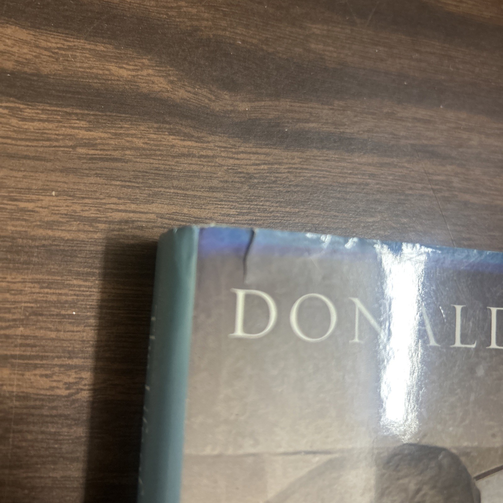 The Life of Maynard Dixon Donald J Hagerty First Edition Gibbs Smith VG HC W/ DJ