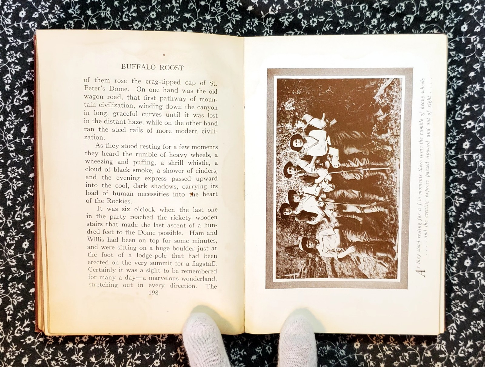Buffalo Roost, F. H. Cheley, 1913, First Edition, Hardcover, Antique