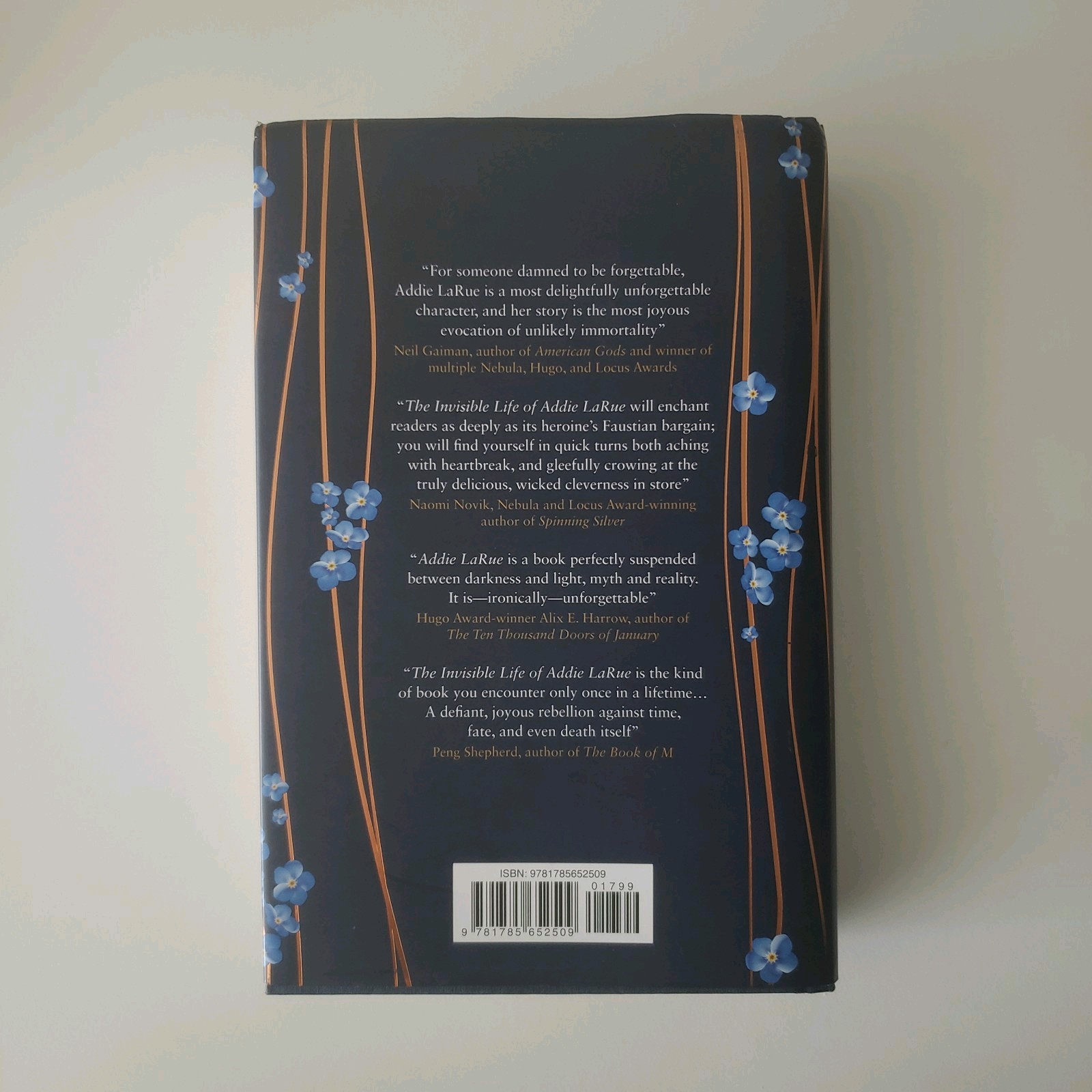The Invisible Life of Addie LaRue by V.E. Schwab Book Free Shipping