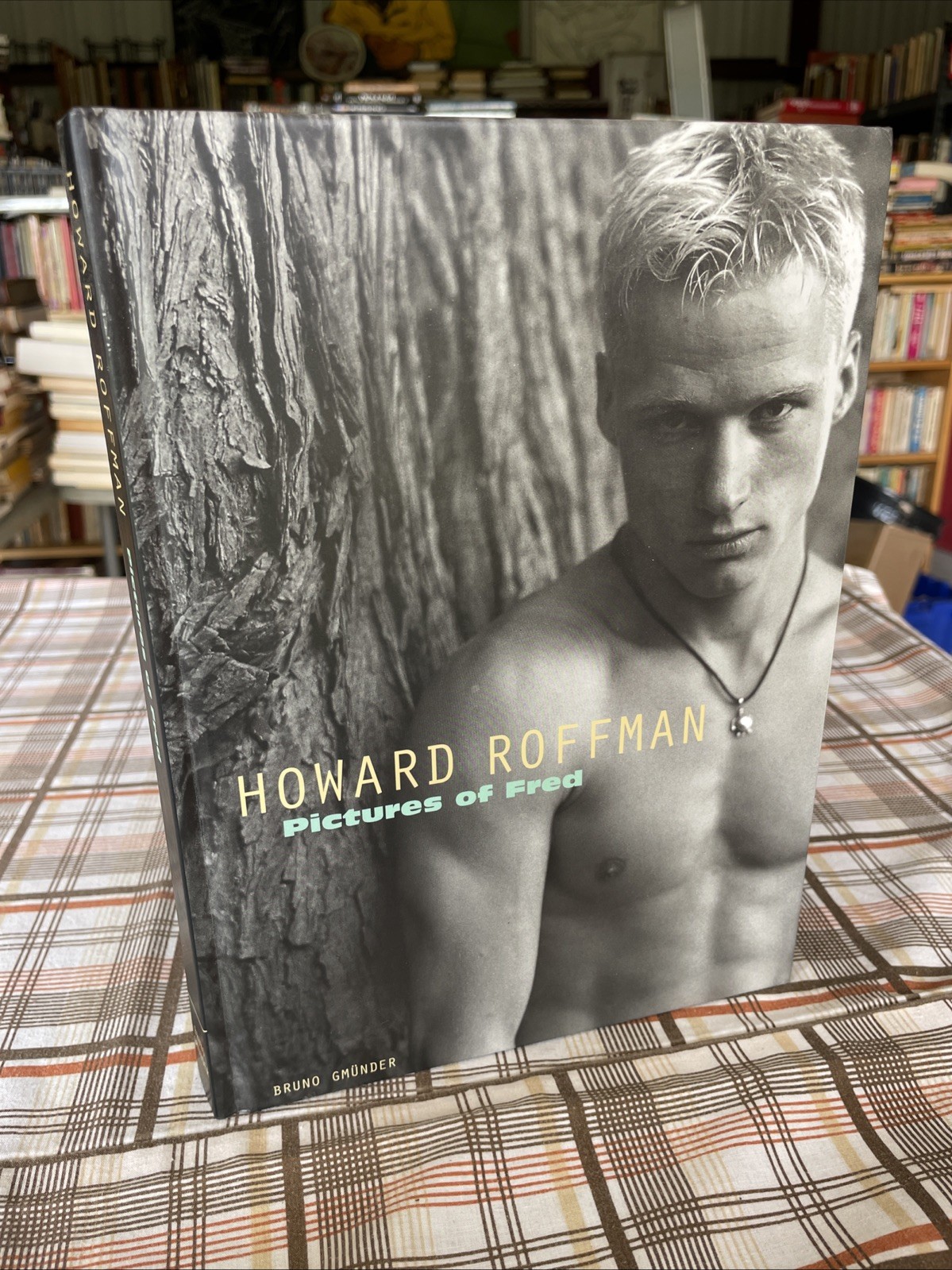 Pictures of Fred by Howard Roffman (1999 HC Gay Male photography Bruno Gmünder)