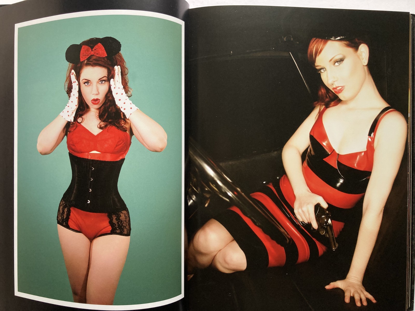 VIVA’S PINUPS – BULLET BRAS AND BACKSEAT BETTIES / VIVA VAN STORY / HARDBOUND