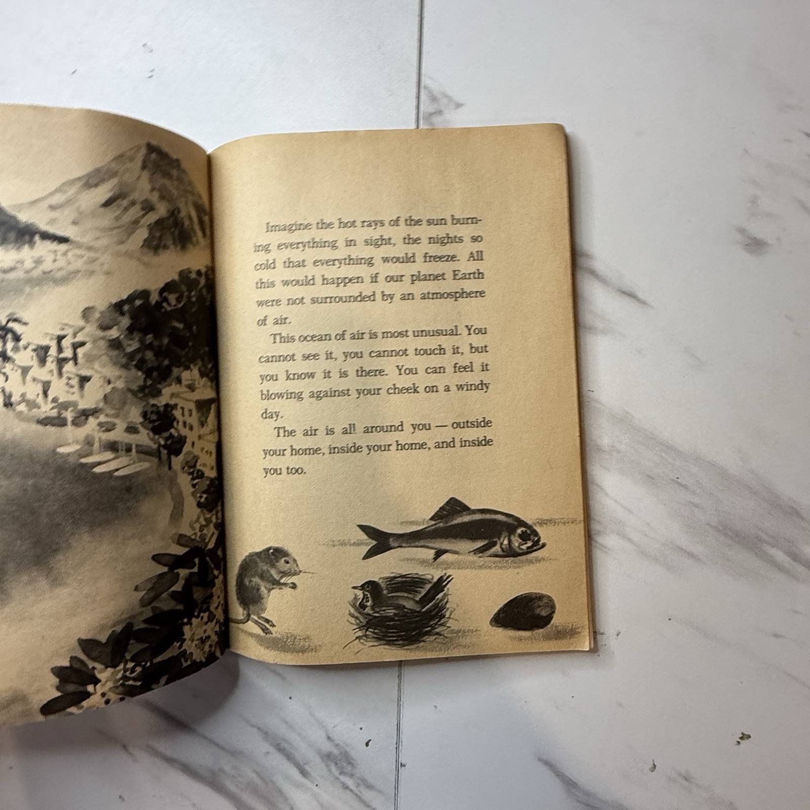 Vintage Air The Invisible Ocean Sigmund Kalina 1974 Scholastic Paperback Book