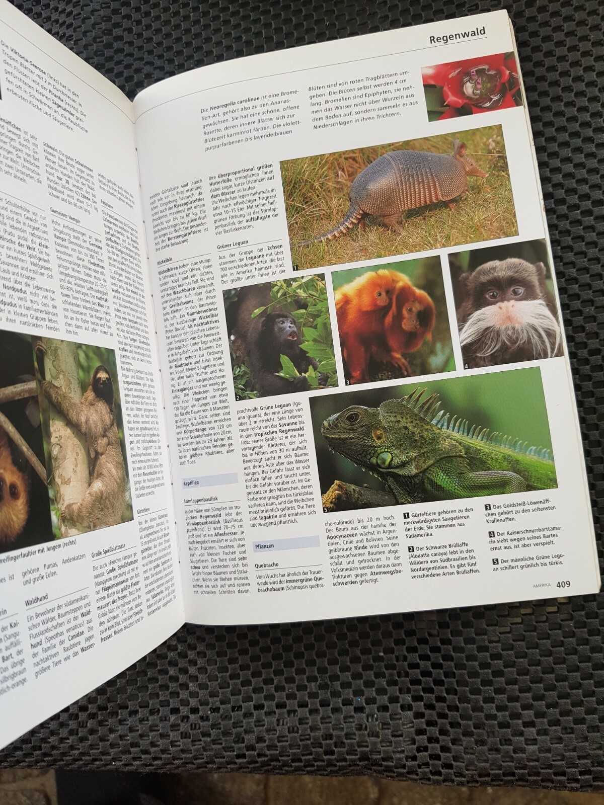 Unser Planet Ocean Continents Nature Book 2010 German, 424 Pages