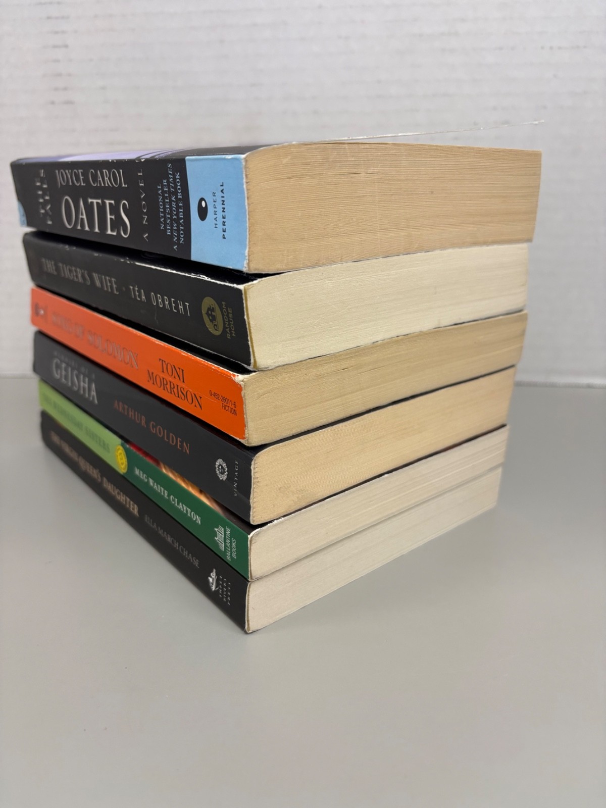 Historical Fiction Trade Paperbacks Lot of 6 (See Photos for Titles)