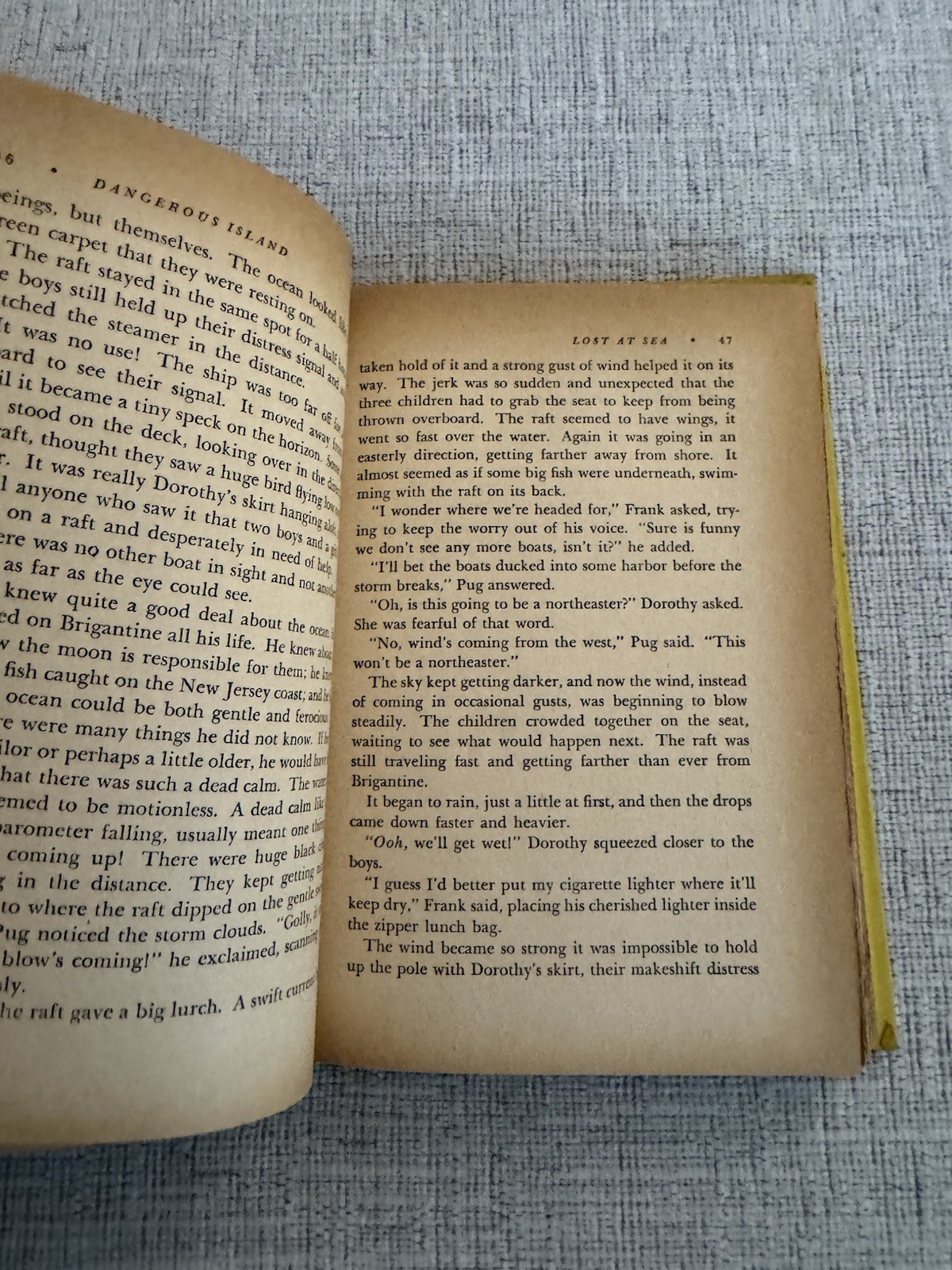 Dangerous Island Helen Mather-Smith Mindlin 1956 Weekly Reader HC