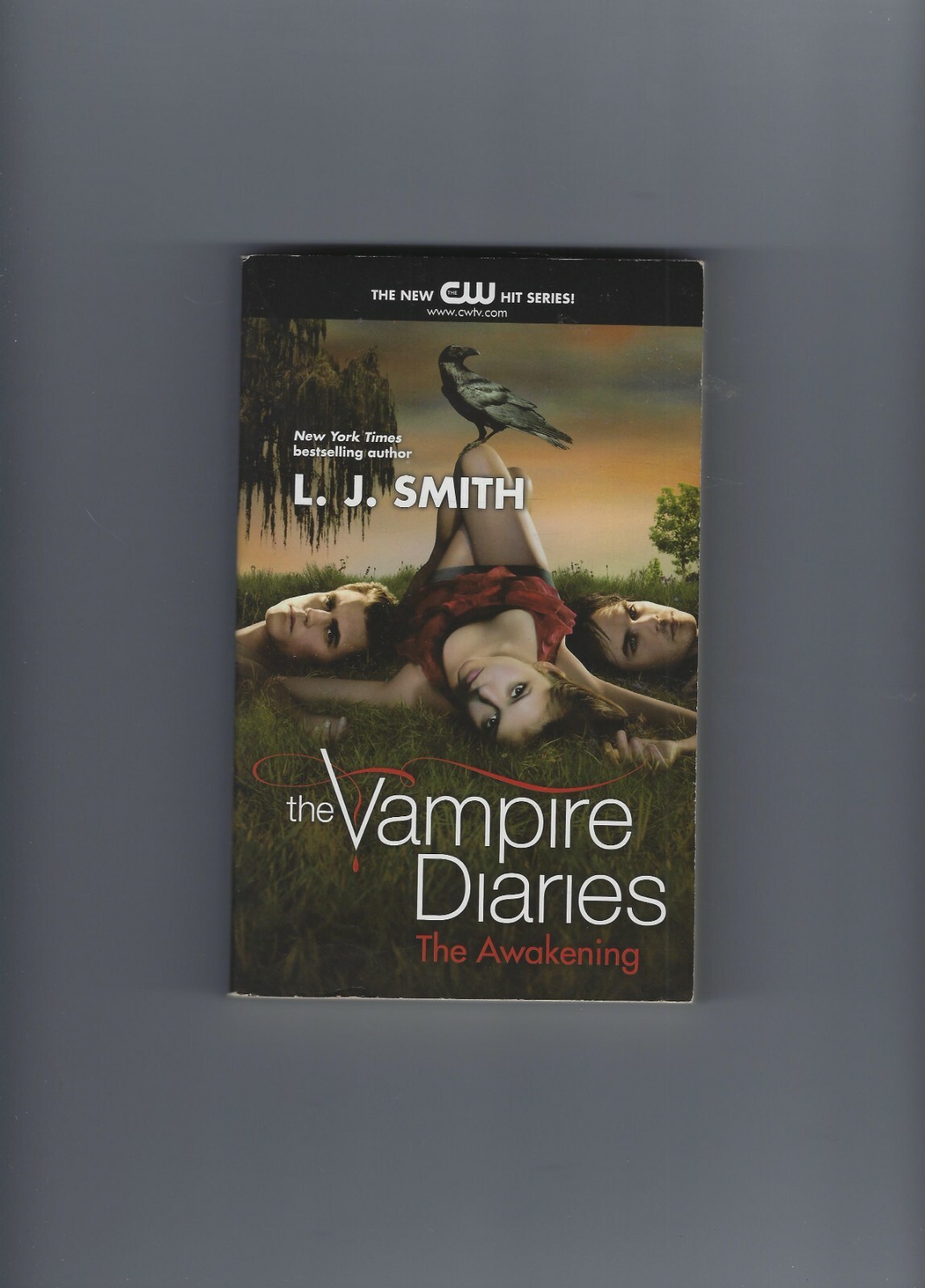 7 VAMPIRE PARANORMAL ROMANCE BOOKS J R WARD AMANDA ASHLEY ROB THURMAN COVET