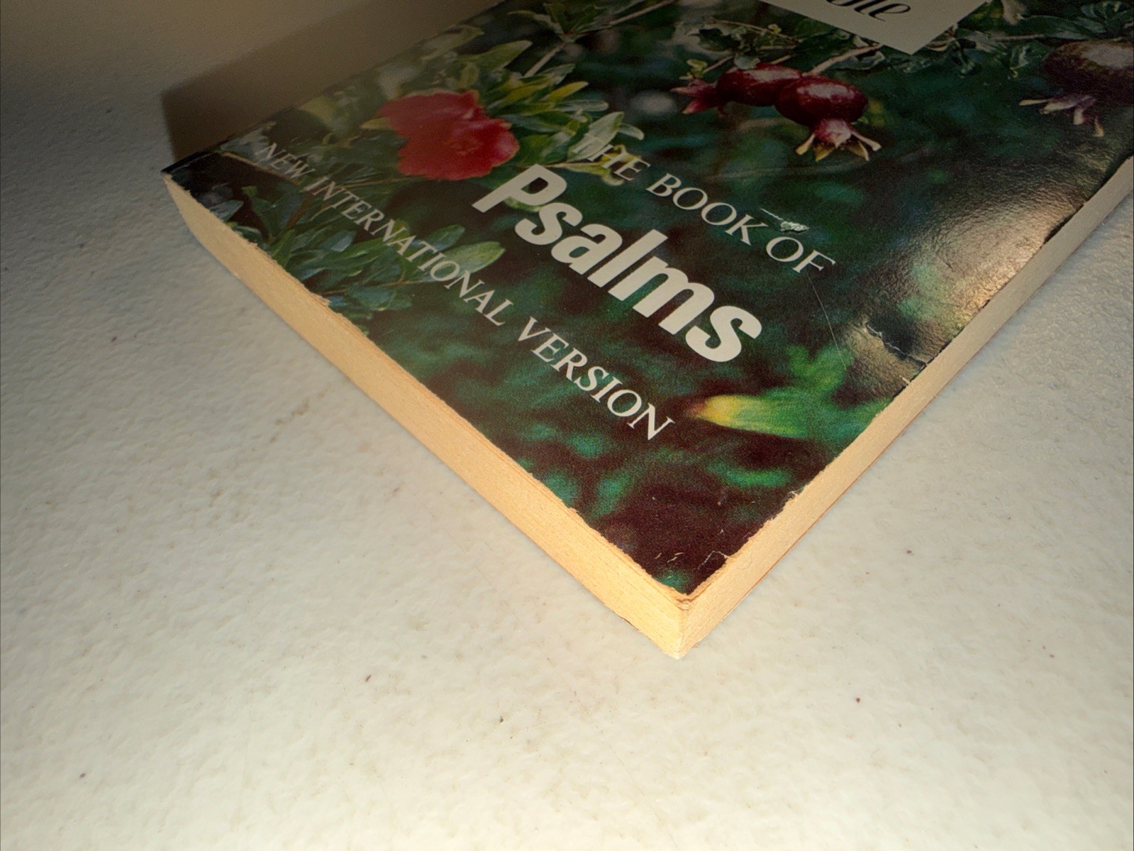 Strength in Time of Trouble: The Book of Psalms – 1978 Paperback