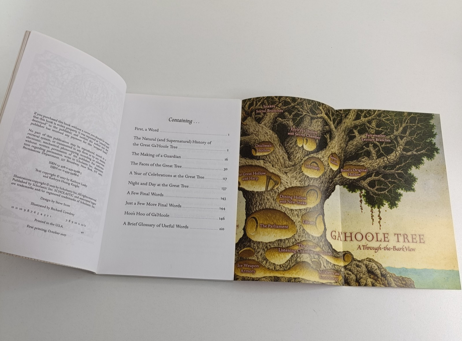 Guardians of Ga’Hoole Kathryn Lasky Bulk Lot 1 3 4 5 7 8 9 12 13 14 + Guide Book