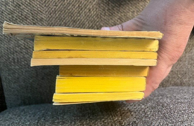 Lot of 7 Vintage Scholastic Chapter Books 1960’s- 1970’s girls interest