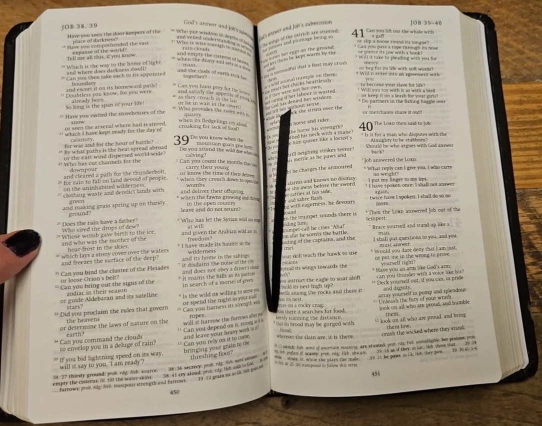 REB Revised English Bible Standard Text Edition Gray Leather RE532:T Cambridge