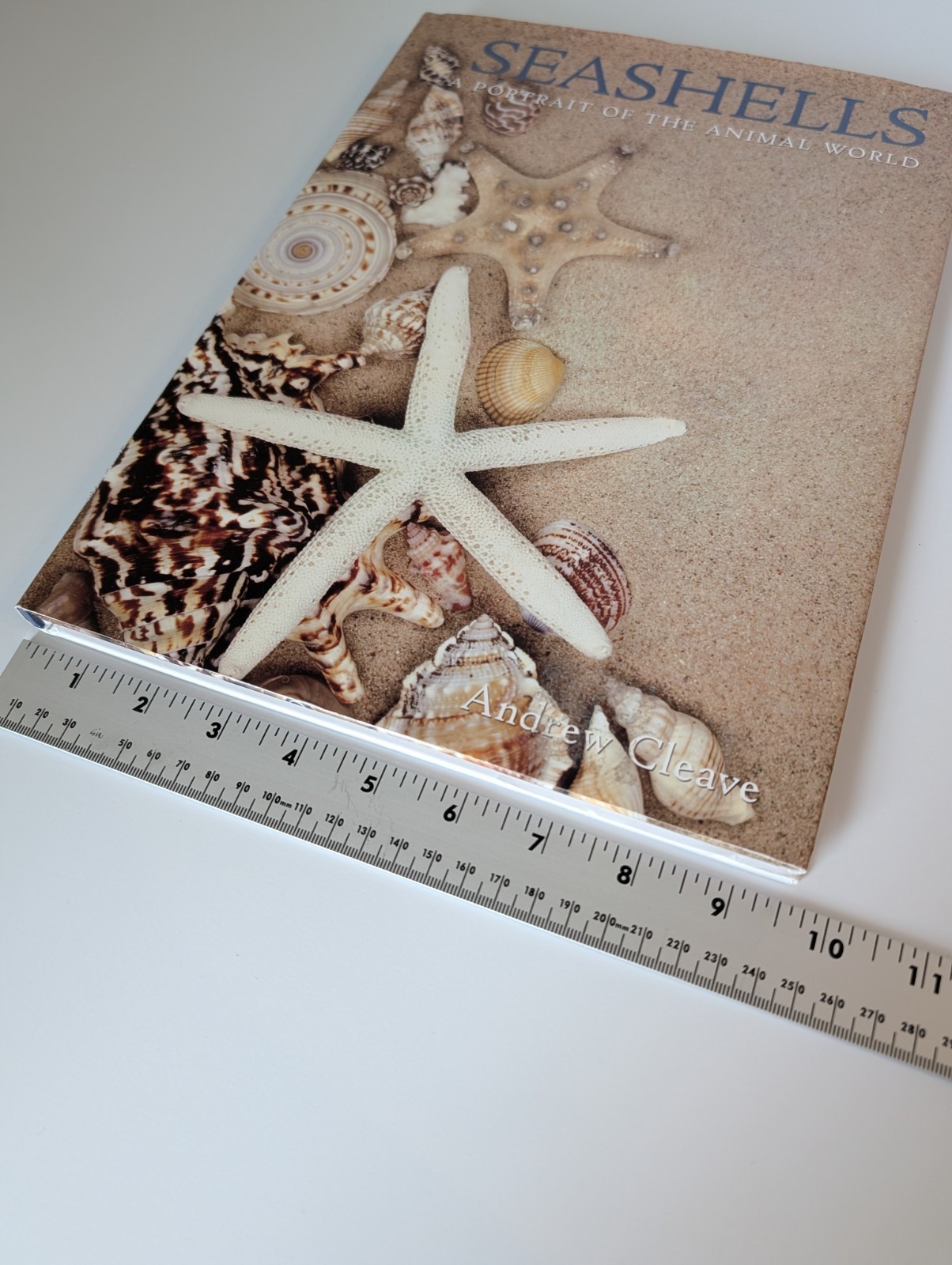 Nautical Beach Seashells Coffee Table Book Hardcover Andrew Cleave