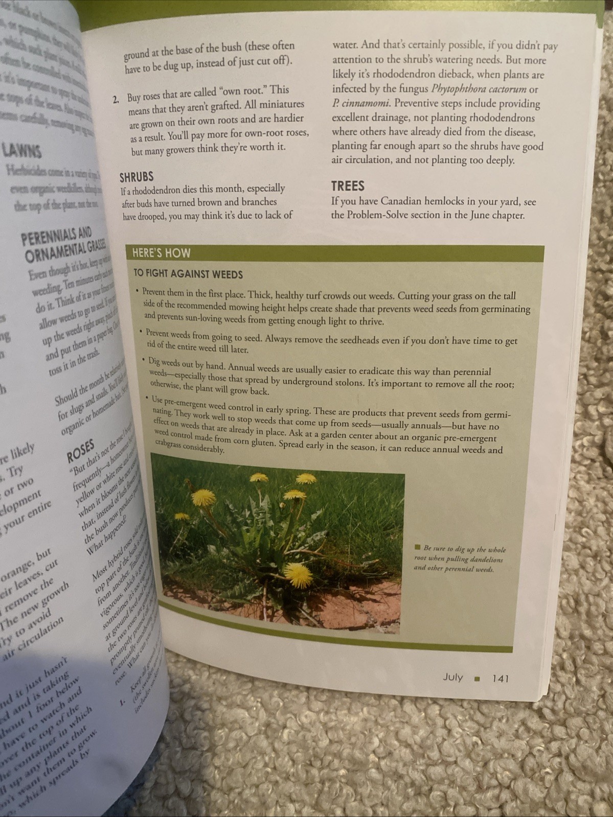 Tennessee & Kentucky Month-by-Month Gardening Judy Lowe Cool Springs Press 2013