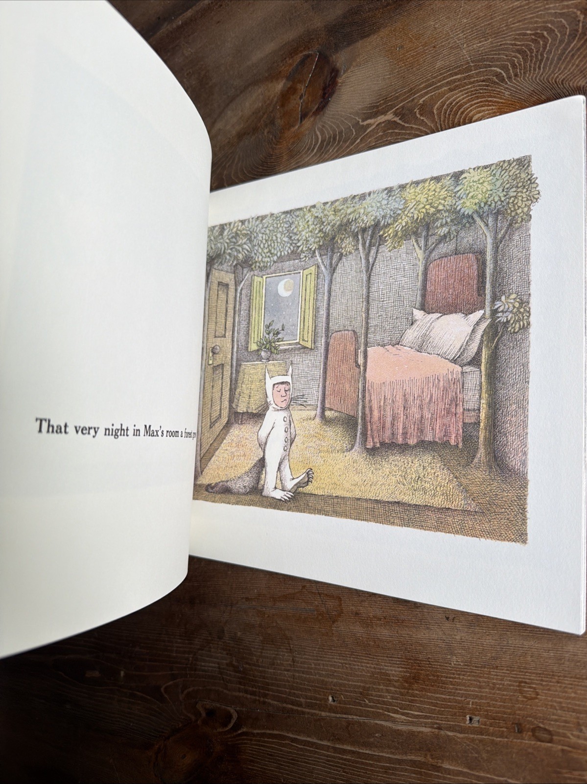 Where the Wild Things Are – Maurice Sendak – Caldecott Medal – Good Condition