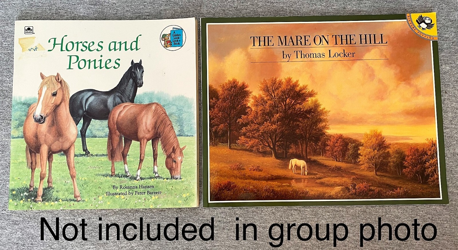 Horse Equestrian Books 29 in Lot 5HC & 24PB Chapter Picture Riding Veterinarian