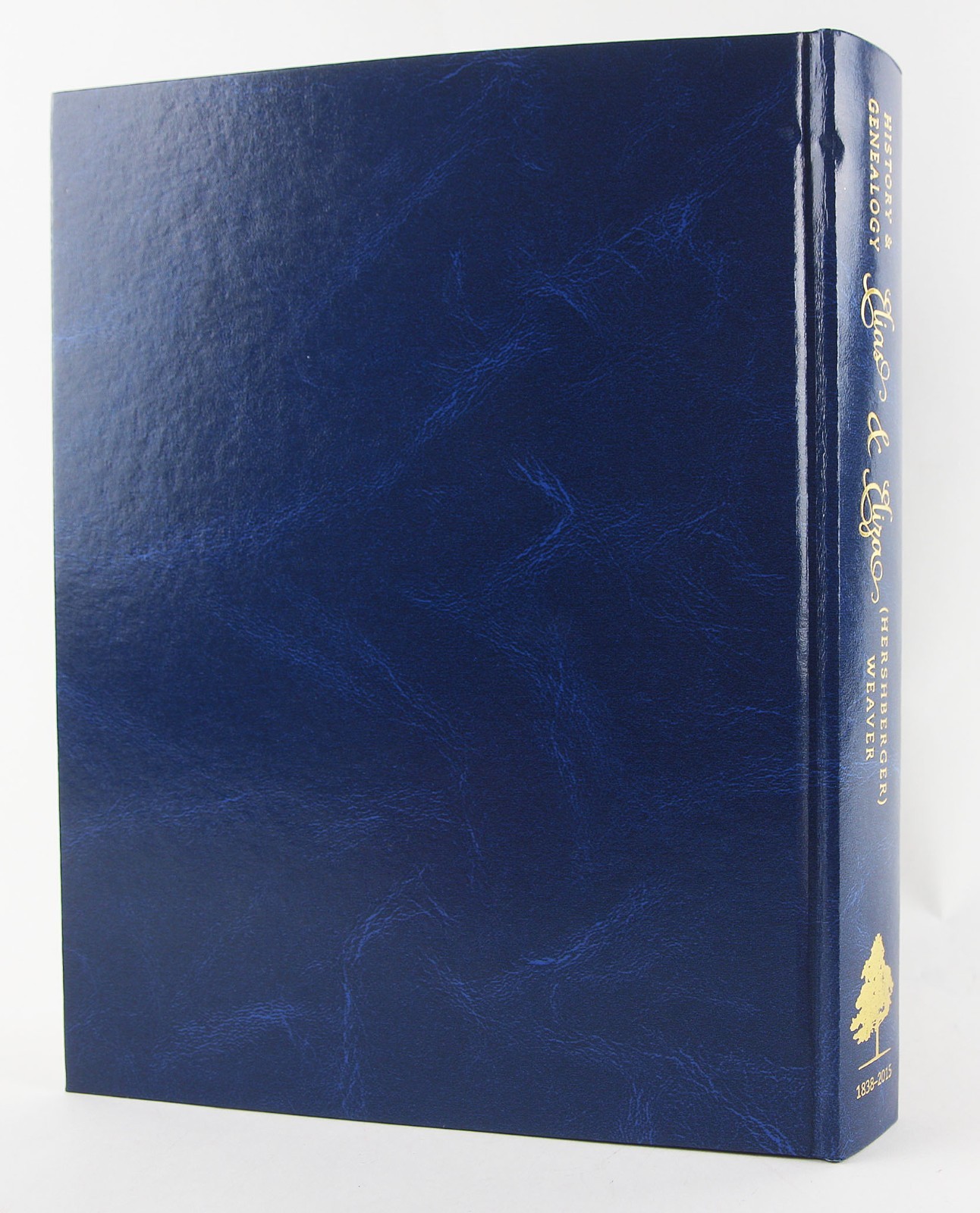 History & Genealogy of Elias & Eliza (Hershberger) Weaver, 1838-2015 – Genealogy