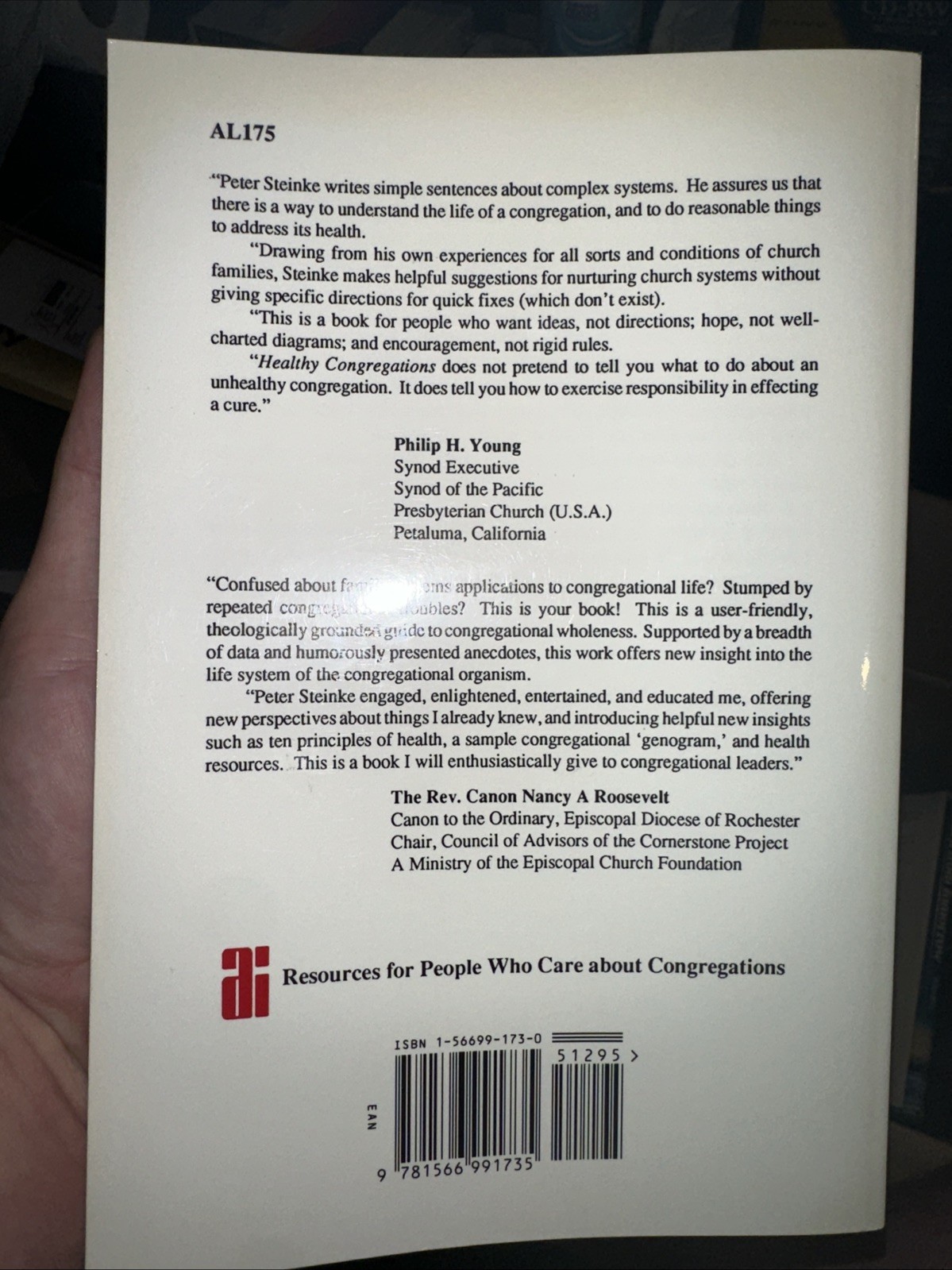 HEALTHY CONGREGATIONS: A SYSTEMS APPROACH By Peter L. Steinke **BRAND NEW**