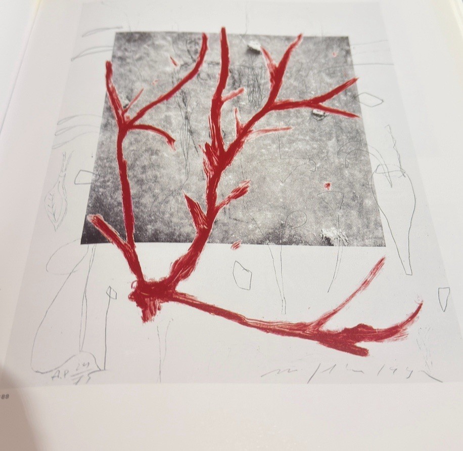 Mimmo Paladino: Graphic Work 1974#2001 (Art of This Century) by Paladino, mimmo