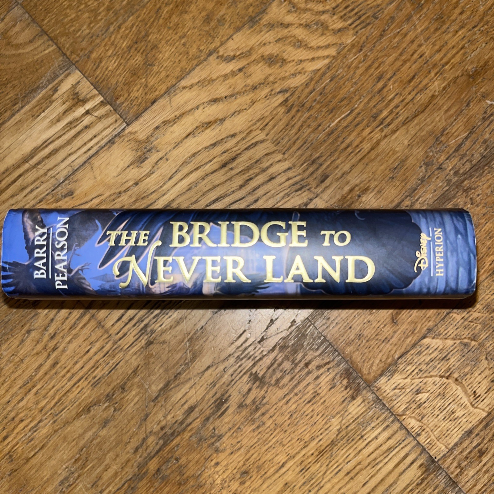 The Bridge to Never Land – Disney First Edition. SIGNED!