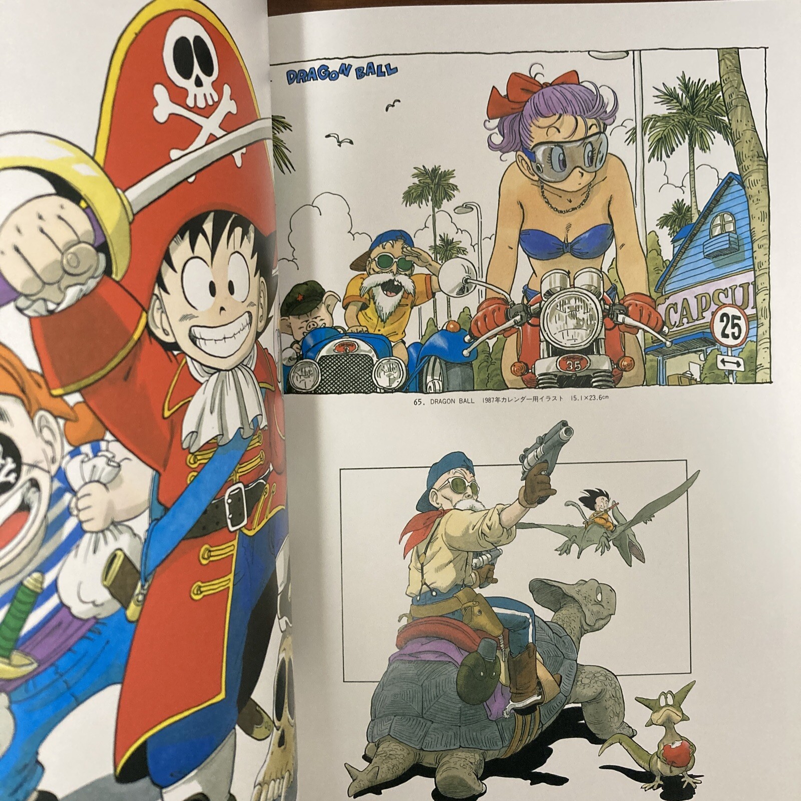 Akira Toriyama THE WORLD SPECIAL Art Book Illustration