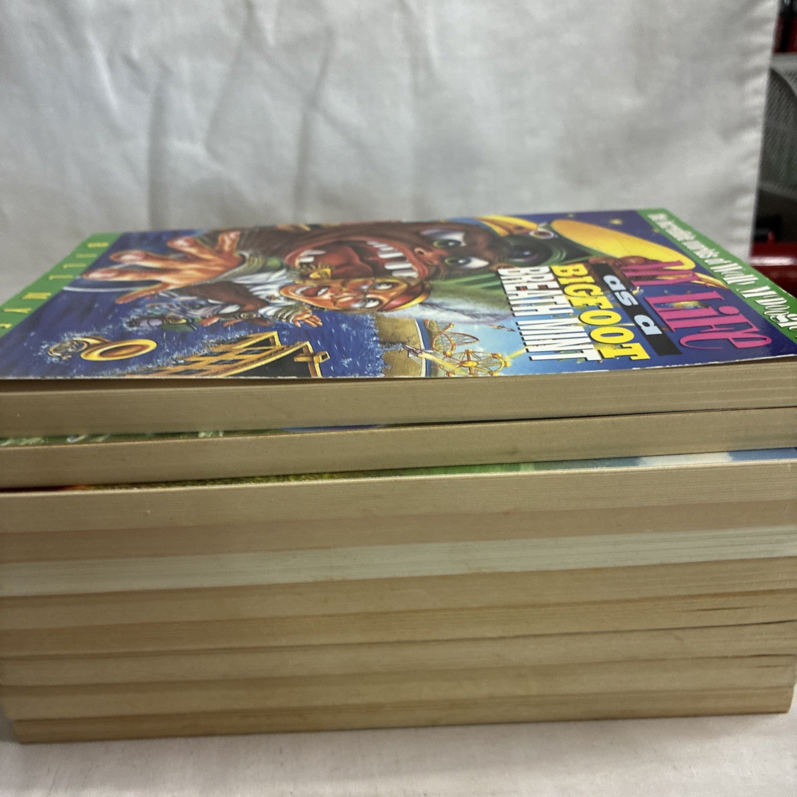 Incredible Worlds of Wally McDoogle My Life As Books 1-12 Bill Myers Missing 3&7