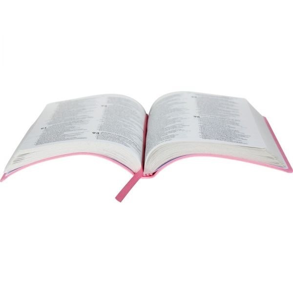 Biblia Sagrada: NAA – Capa: Flexivel em Couro (Em Portugues do Brasil)